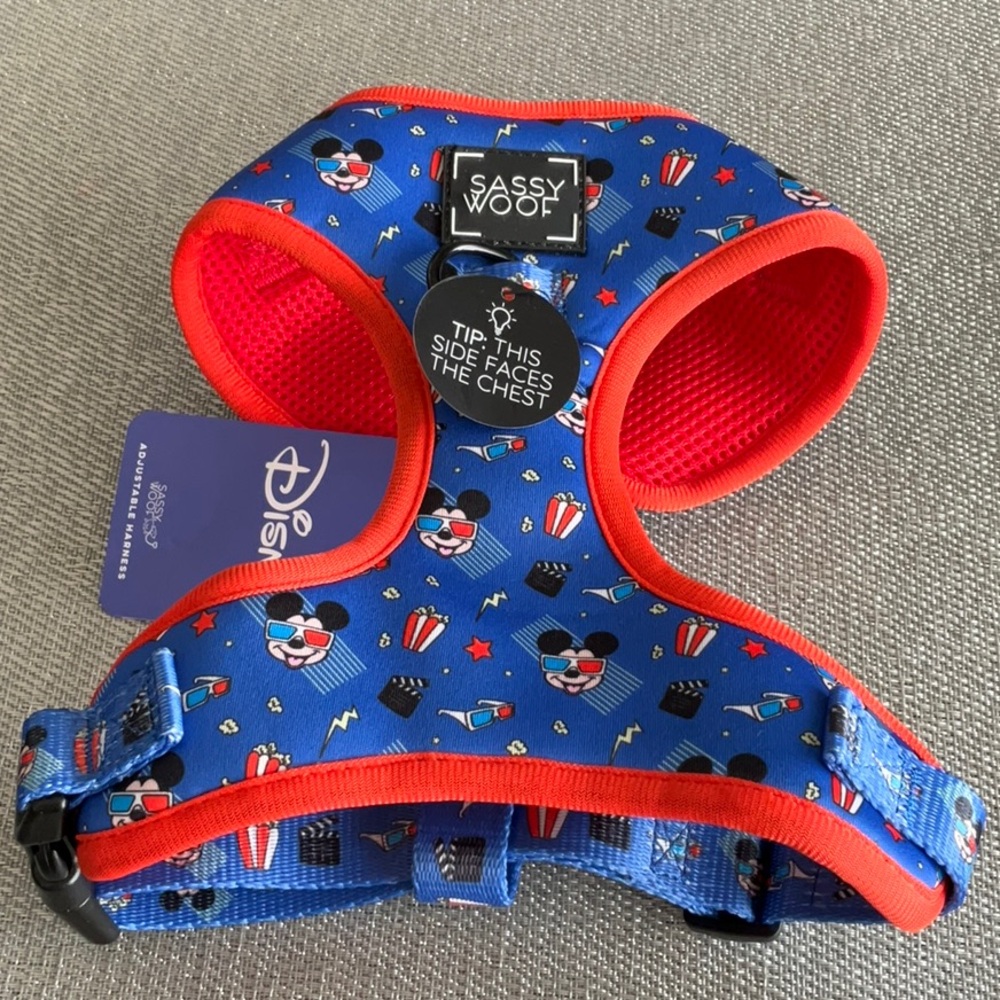 Sassy Woof Disney Small Pet Grooming Accessory